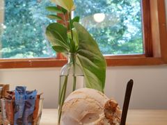 -Patagonia Chocolates(皇后镇店)