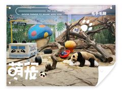 -广州长隆野生动物世界
