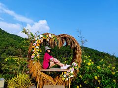 -广州白江湖森林公园