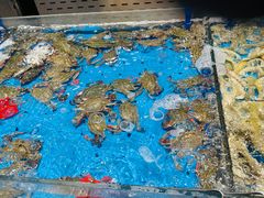 -半岛听涛蒸汽海鲜自助(K11店)