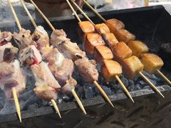 -枫花园汽车电影院(朝阳公园店)