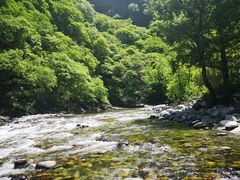 -黑河国家森林公园