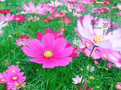 -清溪大王山森林公园