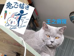 -吕氏疙瘩汤·私家菜馆(慈云寺店)