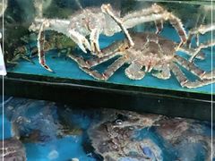 -马王堆海鲜水产市场