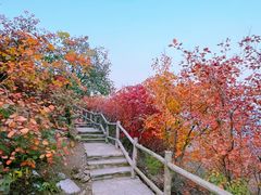 -周口店坡峰岭风景区