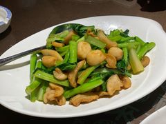 -福来齐·鲁菜海鲜·渔家菜(朝阳街分店)