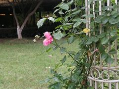 -上海神旺大酒店