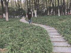 -后襄河公园
