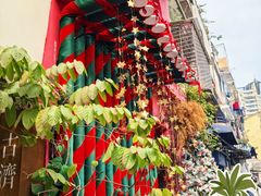 -溪岸路花鸟市场