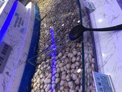 -澜悦港海鲜体验主题餐厅