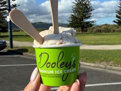 -Dooley's Premium Ice Cream