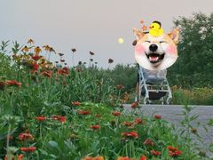 -东郊湿地公园