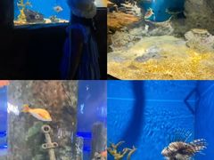 -福州罗源湾海洋世界旅游区