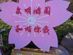 -高东镇樱花园