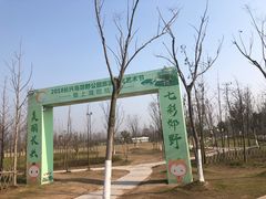 -上海长兴岛郊野公园