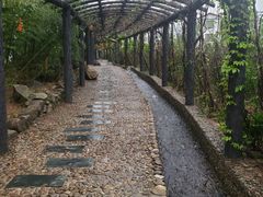 -梁野山景区