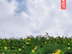 -白石龙音乐公园