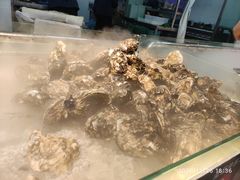 -蚝英雄鲜蚝自助专门店(长楹天街直营店)