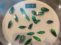 -陕西自然博物馆