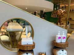 -飞行喵MR PILOT|猫舍·猫咖(静安大融城店)