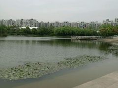 -新江湾城公园
