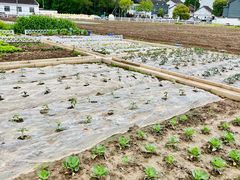 -源香农宝·亲子采摘·钓虾·科普研学