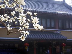 -灵谷景区