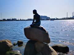 -美人鱼