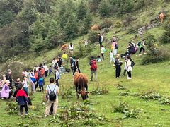 -武陵山森林公园