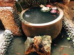 -三道苗苗鱼·美蛙黄辣丁(八里店)