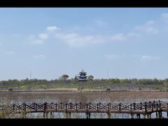 -上海海湾国家森林公园