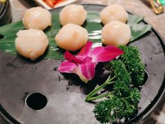 -禄婶鸡煲·打边炉