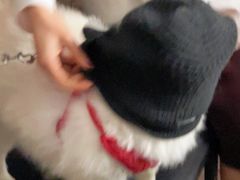 -gaga(深圳南山益田假日广场店)