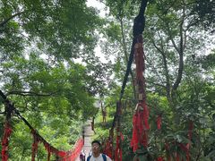 -常德桃花源景区