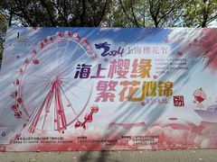 -顾村公园