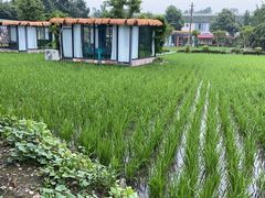 -洪湖家庭农场·团建·露营·会议