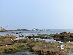 -青岛海滨风景区