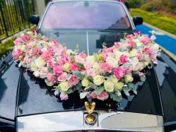 -蚂蚁婚车