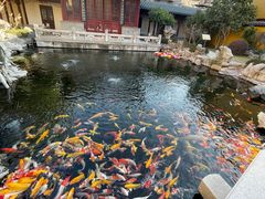-下海庙