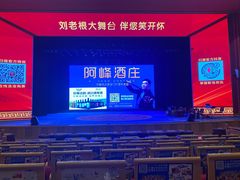 -刘老根大舞台-长春旗舰店