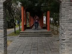 -杨家埠民间艺术大观园