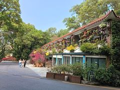-深圳仙湖植物园