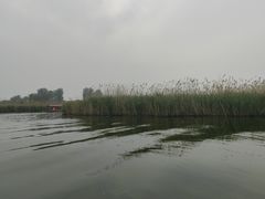 -白洋淀景区