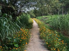 -美的鹭湖探索王国