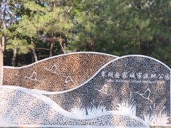 -翠湖国家城市湿地公园
