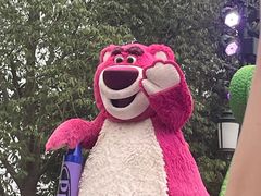 -上海迪士尼度假区