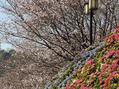 -苏州上方山国家森林公园