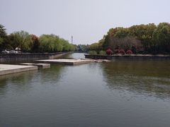 -上海鲜花港