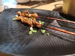 红柳木烤羊肉串-成都吃客(九眼桥店)